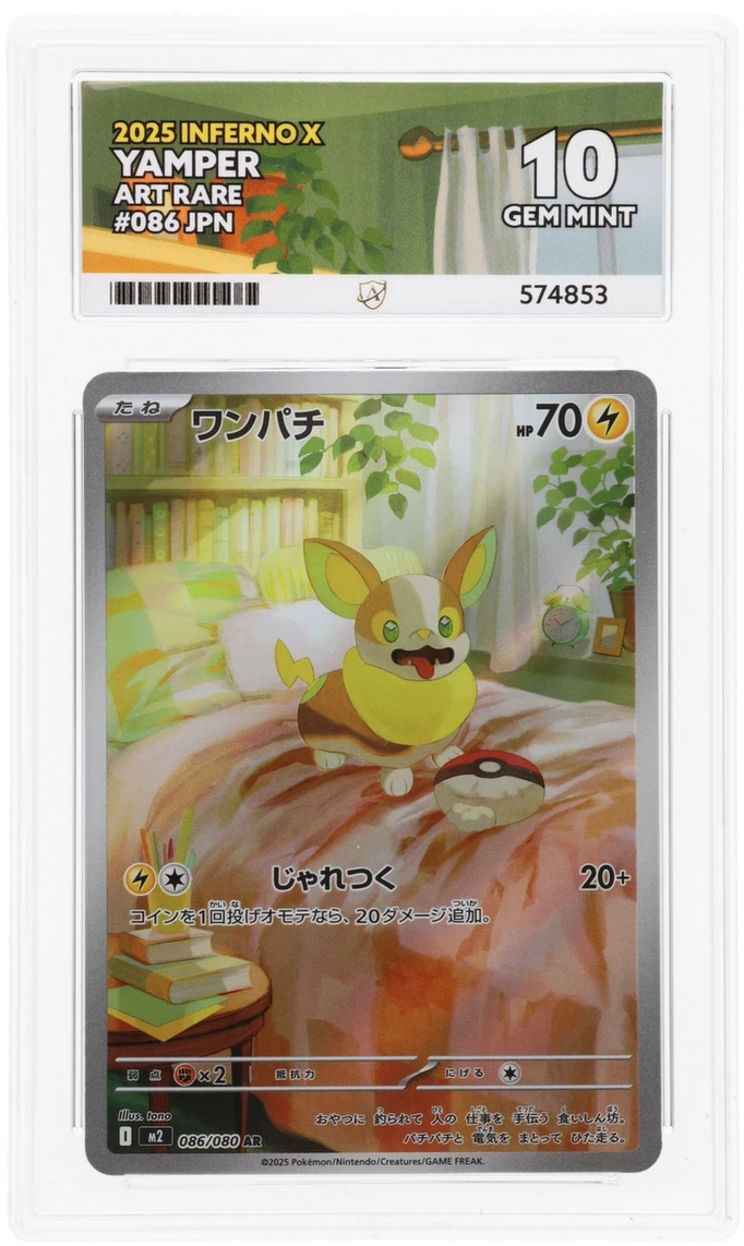 yamper pokemon card | 099/094 | Phantasmal Flames | NM Pokmon Hit Points60 HP Form Yamper : r/PokemonTCG